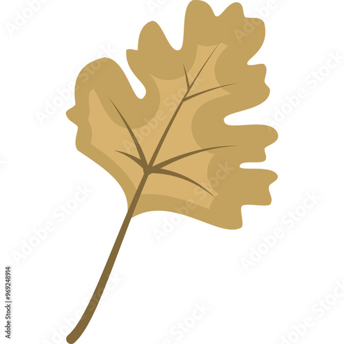 Autumn Leaf Illustration
