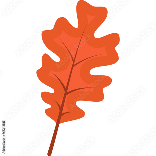 Autumn Leaf Illustration
