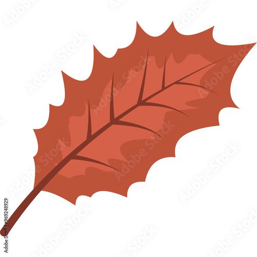 Autumn Leaf Illustration
