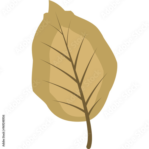 Autumn Leaf Illustration
