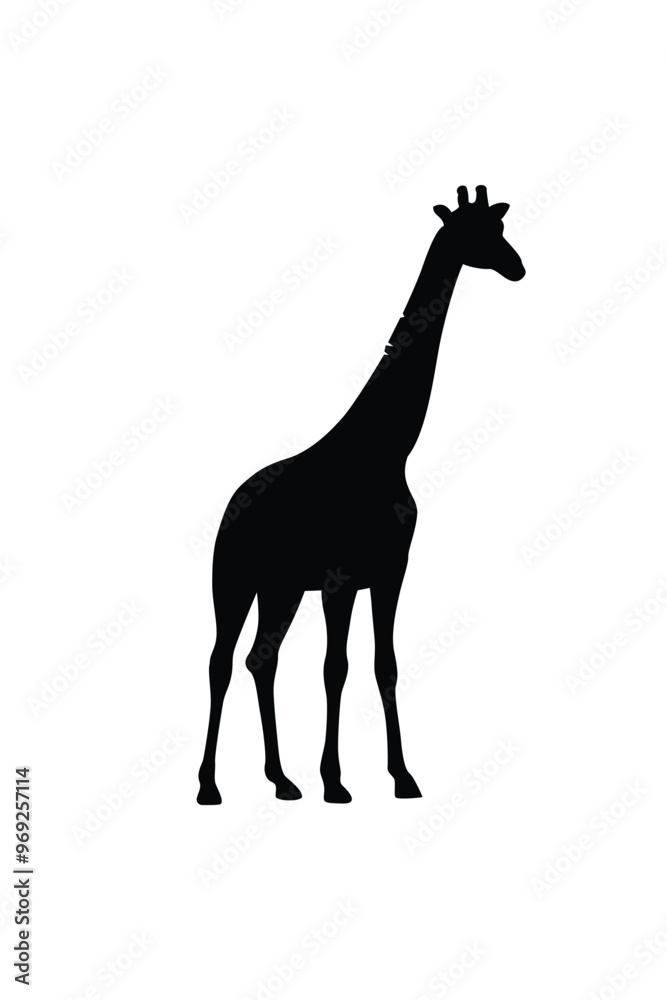 The silhouette of a giraffe. Original vector illustration in vintage style isolated on white background. The silhouette of a giraffe. Original vector illustration in vintage style isolated on white background.