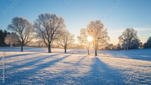 A serene winter landscape with trees casting long shadows in the snow, illuminated by sunlight.