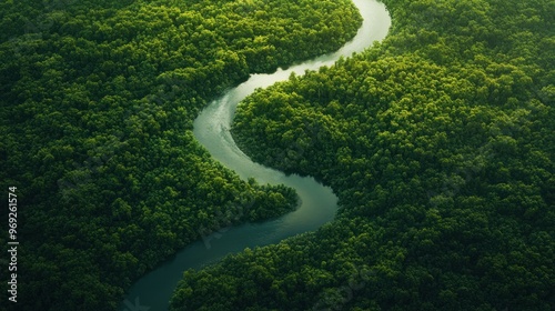 A serene aerial view of a winding river through lush green forest.