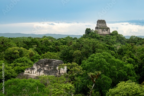 Wallpaper Mural Ancient Mayan ruins in Tikal, Guatemala Torontodigital.ca