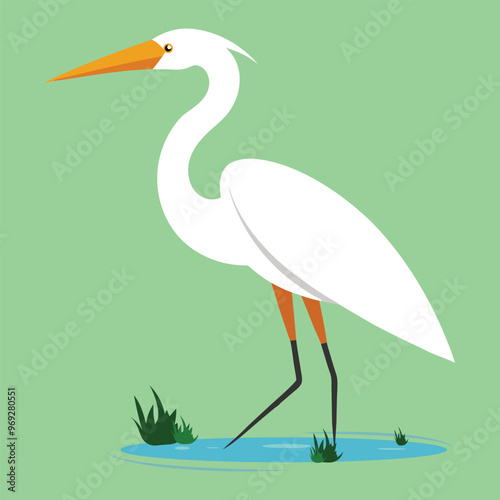 Great egret Bird vector illustration. herons vector illustration. heron with water white.