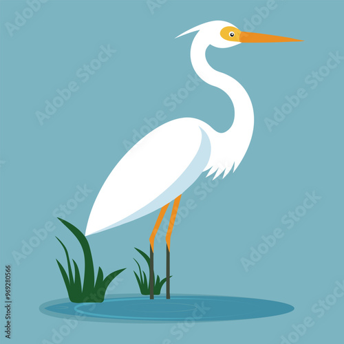 Great egret Bird vector illustration. herons vector illustration. heron with water white.