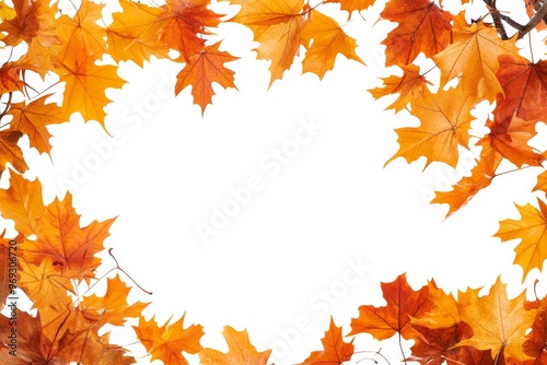 Autumn Leaf Frame Isolated on White Background
