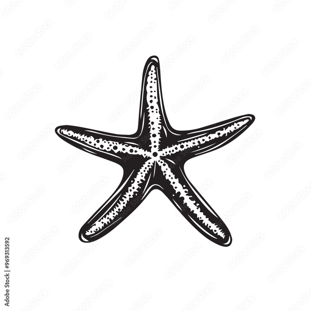 Starfish in cartoon, doodle style . Image for t-shirt, web, mobile apps and ui. Isolated 2d vector illustration in logo, icon, sketch style, Eps 10, black and white. AI Generative Starfish in cartoon, doodle style . Image for t-shirt, web, mobile apps and ui. Isolated 2d vector illustration in logo, icon, sketch style, Eps 10, black and white. AI Generative