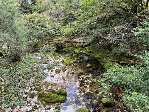 Source Glijun or the source of the stream Gljun (Bovec, Slovenia) - Die Quelle des Baches Glijun oder die Quelle Gljun (Bovec, Slowenien) - Izvir Glijuna or Izvor Gljuna (Slovenija) photo