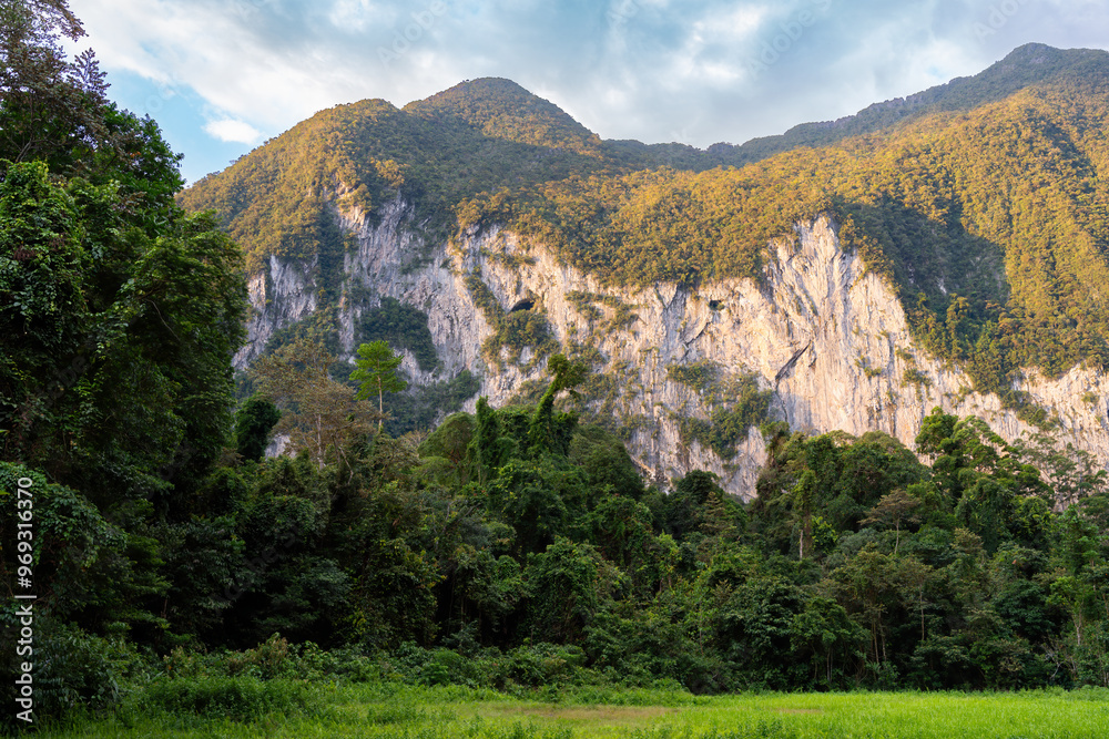Lush green forest with towering mountains in Gunung Mulu National Park, Borneo island, Malaysia Lush green forest with towering mountains in Gunung Mulu National Park, Borneo island, Malaysia