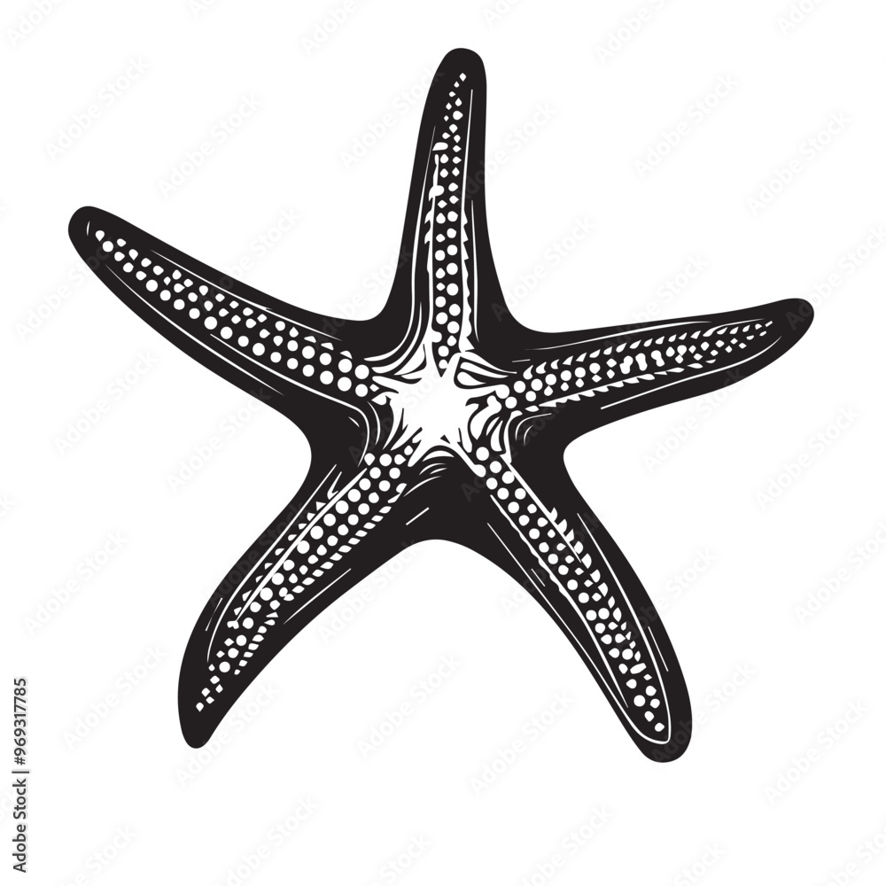 Starfish in cartoon, doodle style . Image for t-shirt, web, mobile apps and ui. Isolated 2d vector illustration in logo, icon, sketch style, Eps 10, black and white. AI Generative Starfish in cartoon, doodle style . Image for t-shirt, web, mobile apps and ui. Isolated 2d vector illustration in logo, icon, sketch style, Eps 10, black and white. AI Generative
