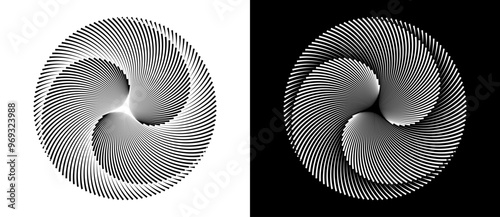 Lines in circle abstract background. Dynamic transition illusion with 3 parts. Black shape on a white background and the same white shape on the black side.