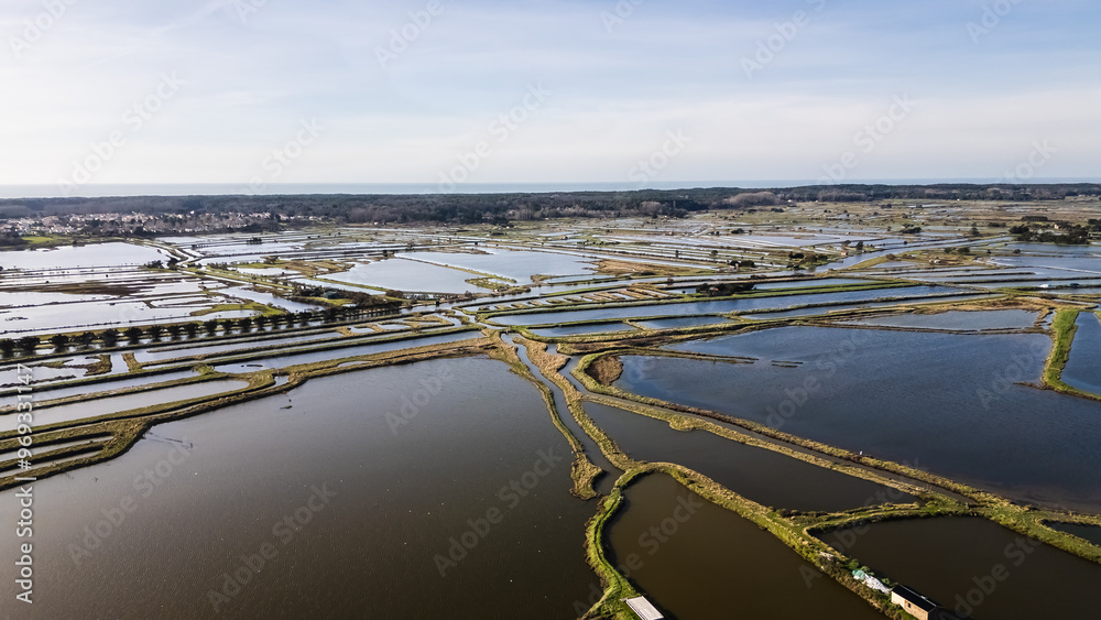 drone view of the salt marshes of Ile d Olonne, Vendee, France