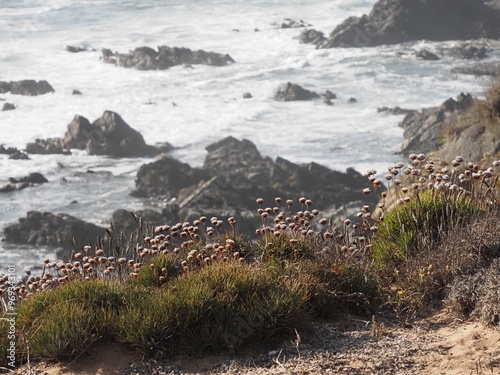 portugals westcoast