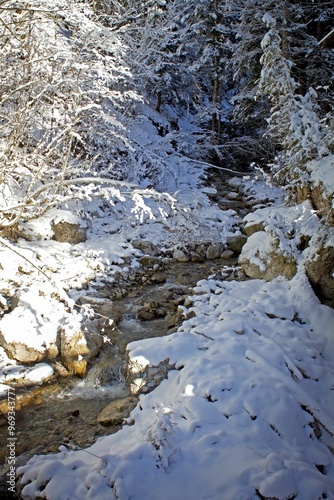 Austrian Mountain Stream - Winter view