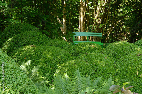 buis taillé, Buxus sempervirens, banc vert, Les jardins de Séricourt, Séricourt, Région Nord Pas de Calais, 62, Pas de Calais, France photo