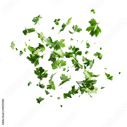 Freshly chopped parsley floating in the air isolated transparent background