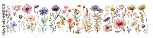 Watercolor vector flowers. Botanical illustration. Wild bouquet.