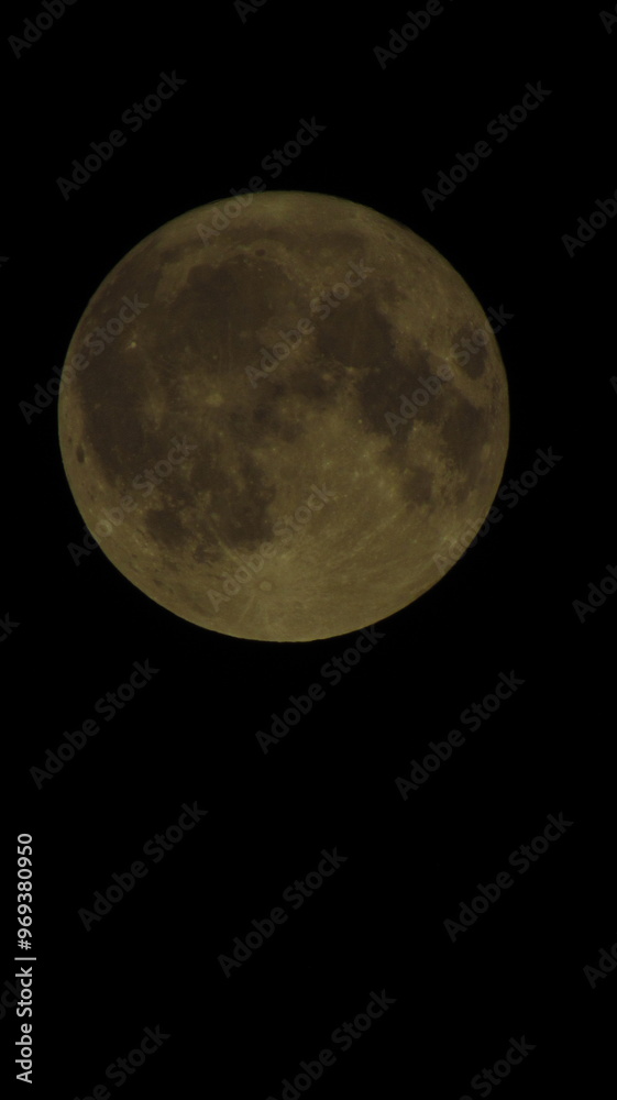 Obraz premium Full Moon Against Dark Night Sky