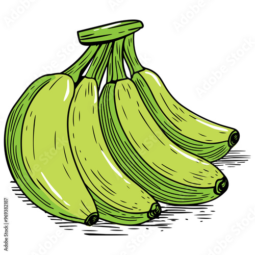 Hand Drawn Green Banana Cartoon