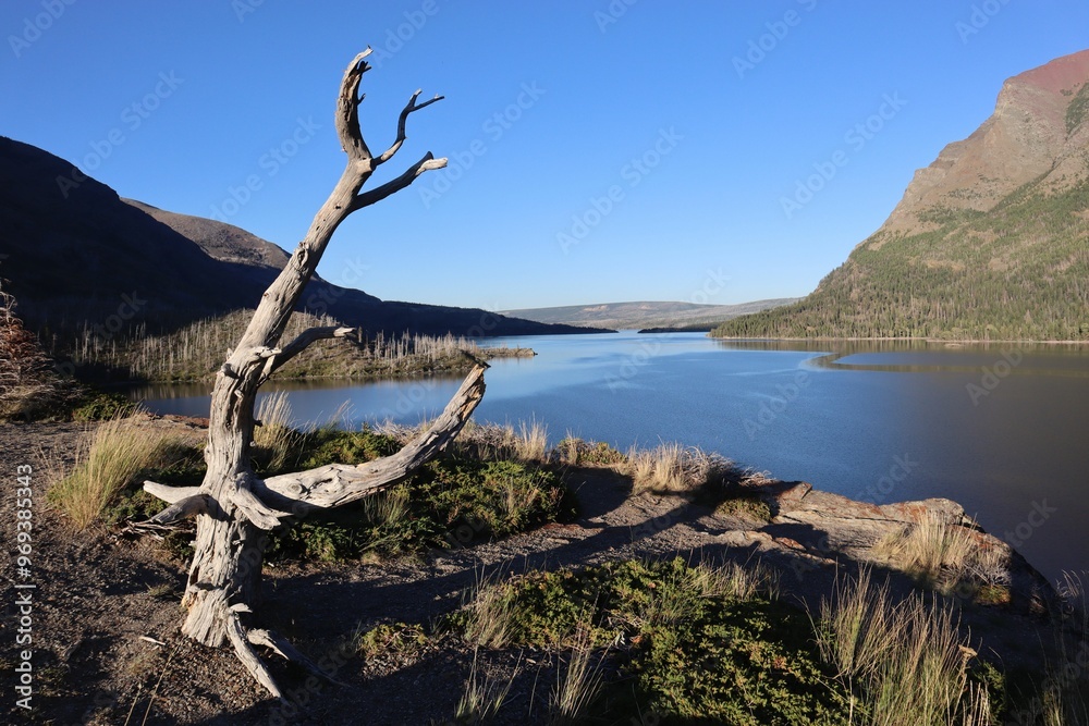Sun Point in Glacier National Park, Montana, showcasing stunning natural beauty Sun Point in Glacier National Park, Montana, showcasing stunning natural beauty
