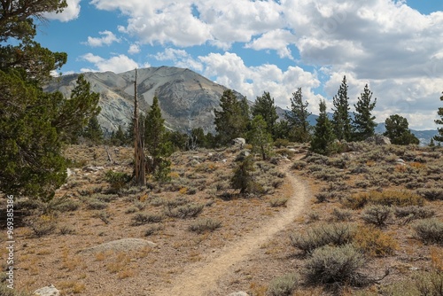 Fotografie A single track hiking trail leads through the beautiful natural landscape of the