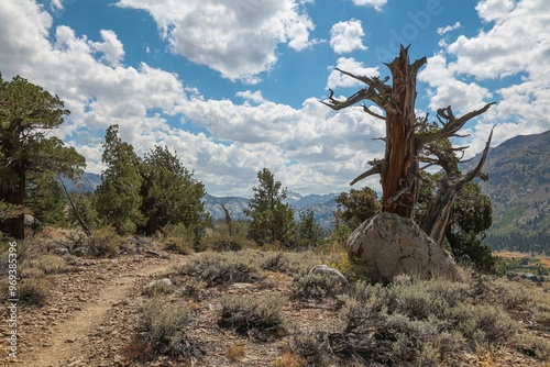 Clouds hang over the high elevation landscape of California's rugged Eastern Sierra range. photo