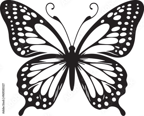 butterfly on white background