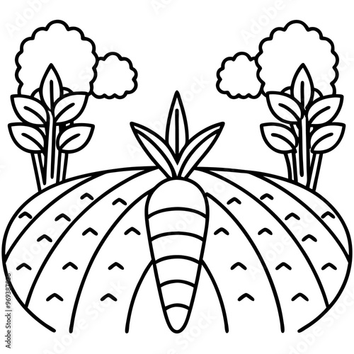 carrot field outline coloring book page line art drawing photo