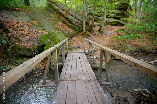 A wooden bridge in the forest with tall trees photo