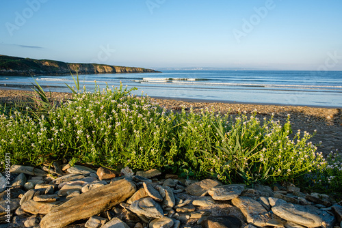 Bord de mer photo