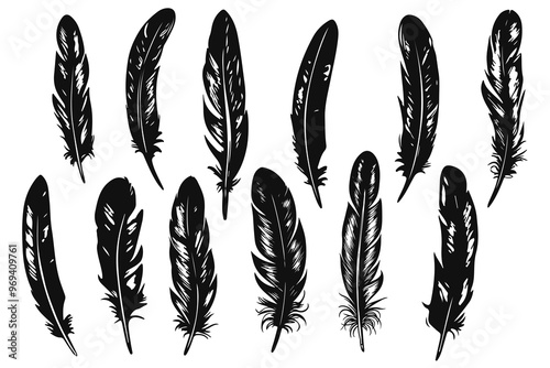 Set of feathers sketched illustrations
