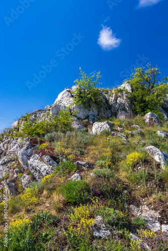 Palava landscape, Natural monument Cat Rock (Kocici skala), Southern Moravia, Czech Republic photo