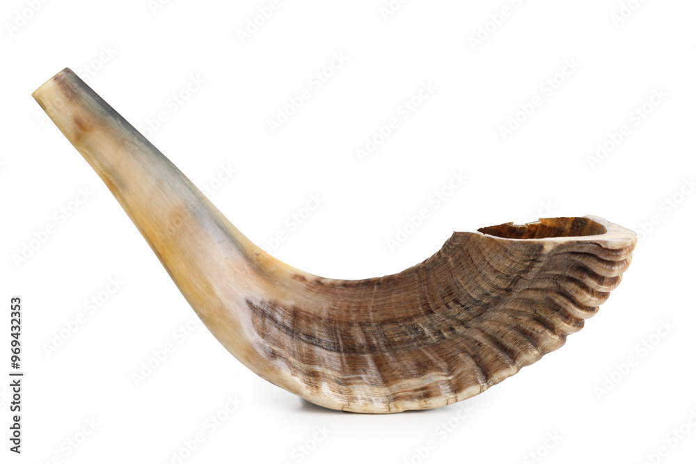 Shofar (horn) on white background. Rosh Hashanah.Yom Kippur Shofar (horn) on white background. Rosh Hashanah.Yom Kippur