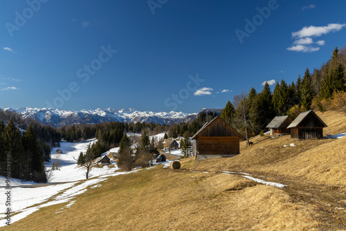 Typical wooden log cabins in Gorjuse, Triglavski national park, Slovenia photo