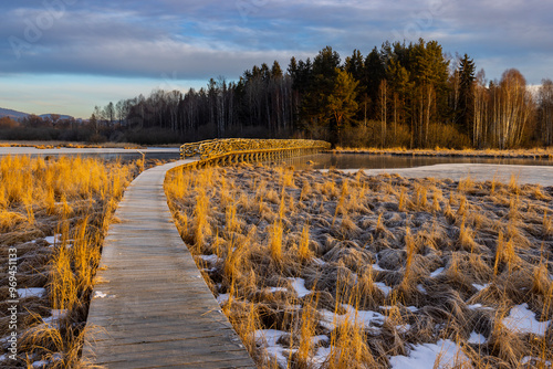 nature reserve Olsina, Sumava National Park, Czech Republic photo