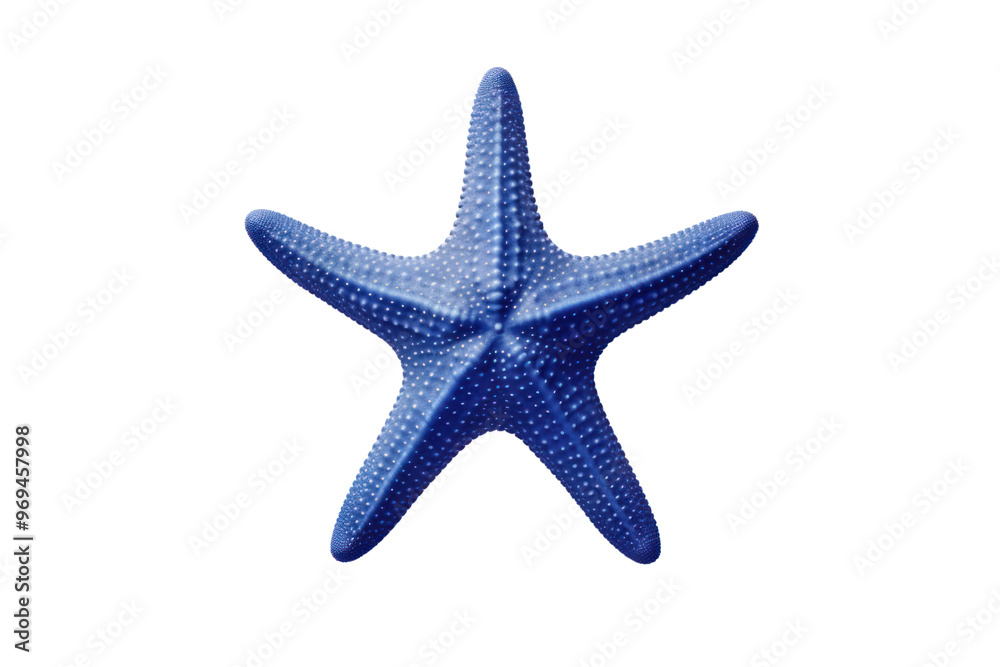 A close-up view of a vibrant orange starfish , isolated on white background A close-up view of a vibrant orange starfish , isolated on white background