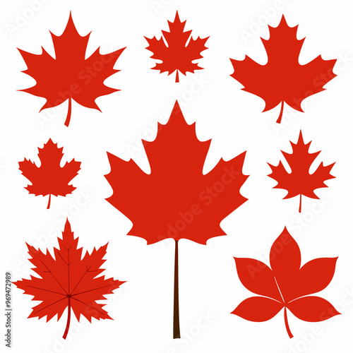 Autumn maple leaf, maple leaf silhouette vector