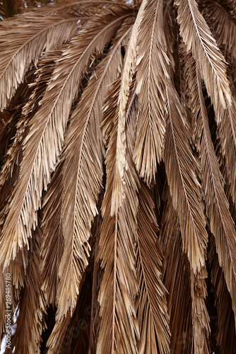 Grass roof, Asian popular grass to do roofing cottages photo