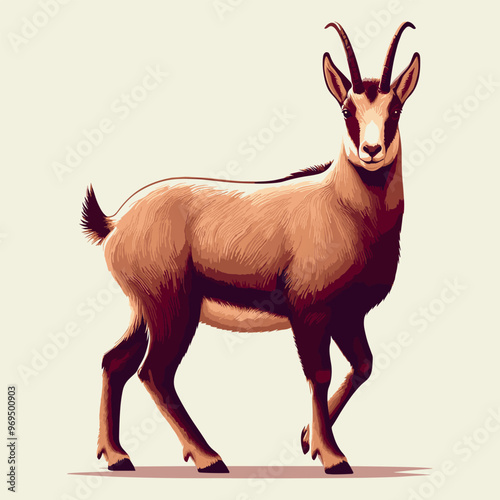 Cute Chamois Vector Cartoon illustration