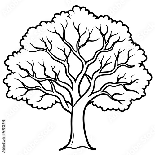 oak tree outline coloring book page line art drawing