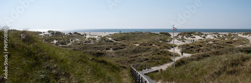 Dünen auf der Insel Amrum in Friesland an der Nordsee