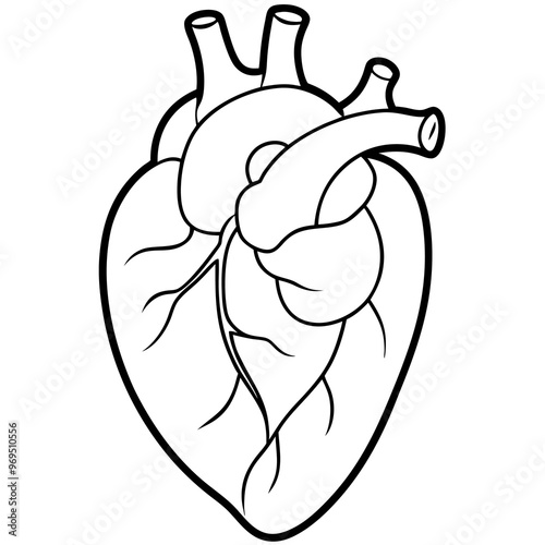 organ heart outline coloring book page line art drawing