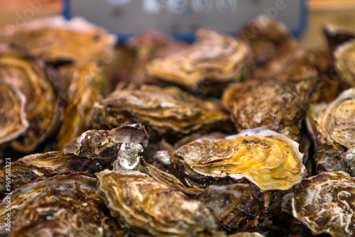 Harvesting Pacific oysters at a bustling coastal market during the early morning hours, celebrating nature's ocean bounty photo