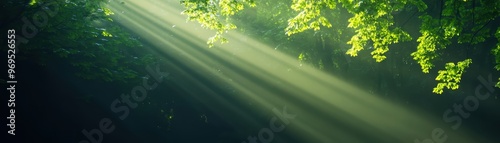 A serene forest scene with sun rays piercing through lush green leaves, creating a tranquil and peaceful atmosphere of nature.
