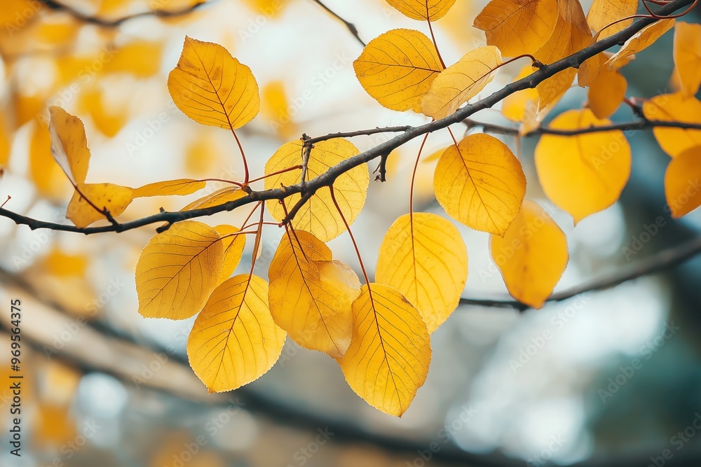 Golden yellow leaves dangle from a tree branch, capturing the essence of autumn and changing seasons.