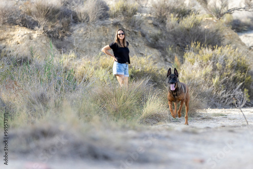 Belgian Malinois running through the field with a girl