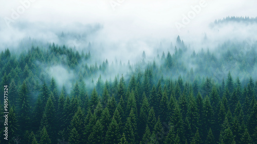 Foggy Mountain Peaks Above a dense forest