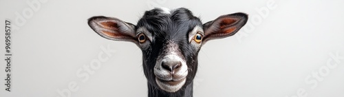 Full-body portrait of a curious goat, showcasing its friendly demeanor, set against a clean white background, emphasizing its charming features and playful nature.