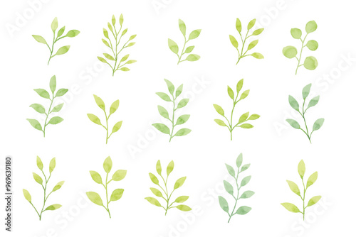 Assortment of watercolor leaves illustration set - green leaf branches collection for wedding, greetings, stationary, wallpapers, fashion, background. olive, green leaves, Eucalyptus etc